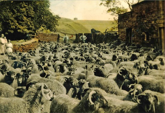 Moorfell Barn, Hurstwood Village, Burnley - Photo 14