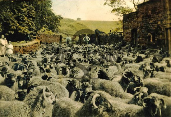 Moorfell Barn, Hurstwood Village - Photo 3