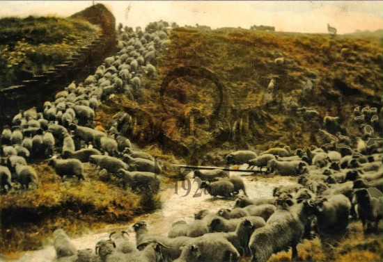 Moorfell Barn, Hurstwood Village - Photo 4