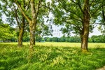 Thursfield Road, Burnley - Thumbnail 11
